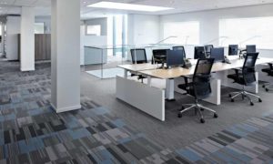 commercial carpet in jaipur,office carpet tile in jaipur, office carpet tile dealer in jaipur